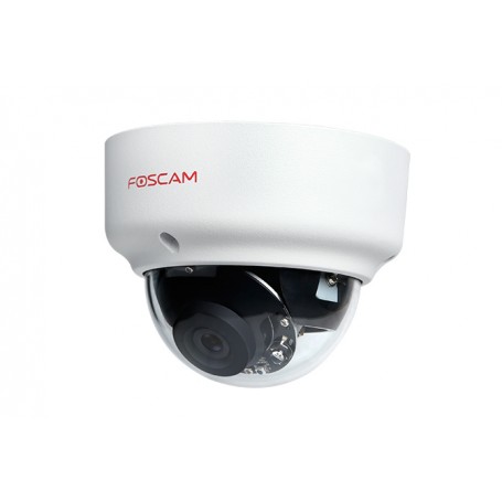 FOSCAM D2EP - Cámara IP POE antivandálica IK10, slot Micro SD,2,0Mpx HD  1080p, AI Detección