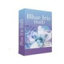 Software Blue Iris Full